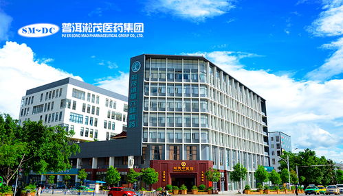 数字化转型新动力 昆明与项城网站建设与新媒体运营深度解析